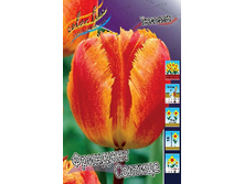 9,5���. ������� �������� ������� (���������� ������ ������ ���������� �� 10 ��.).jpg