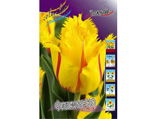 12,23���. ������� �������� (��� 10 ��. ���������� ������ 5��.).jpg