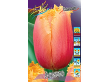 14,5���. ������� ������ (��� 10 ��. ���������� ������ 5��.).jpg