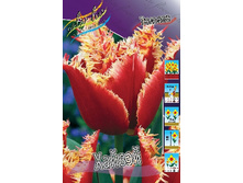 16,38���. ������� ������ (��� 10 ��. ���������� ������ 5��.).jpg