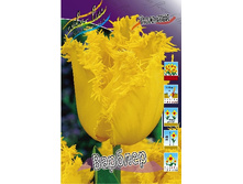 19,53���. ������� ������� (��� 10 ��. ���������� ������ 5��.).jpg