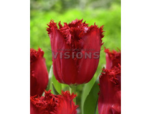 21,42���. ������� ������� (��� 10 ��. ���������� ������ 5��.).jpg