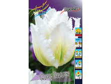 21,42���. ������� ���� ����� (��� 10 ��. ���������� ������ 5��.).jpg