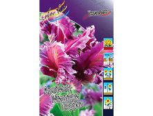 48,5���. ������� ������� ������� ������ (�������� ���� �� 5 ��., ����������� ����� 1��.).jpg