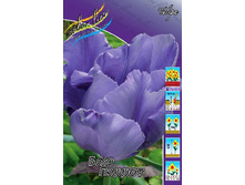 13,87���. ������� ��� ������ (��� 10 ��. ���������� ������ 5��.).jpg