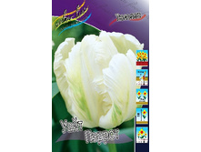 14,5���. ������� ���� ������ (��� 10 ��. ���������� ������ 5��.).jpg