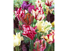 15,13���. ������� ����������, ����� (��� 10 ��. ���������� ������ 5��.).jpg