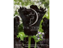 15,75���. ������� ���� ������ (��� 10 ��. ���������� ������ 5��.).jpg