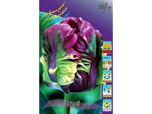 18,9���. ������� ��� (��� 10 ��. ���������� ������ 5��.).jpg