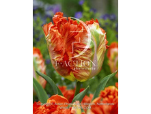 19,53���. ������� ������ ���� (��� 10 ��. ���������� ������ 5��.).jpg