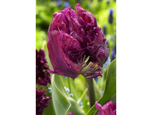 20,16���. ������� ����� ������ (��� 10 ��. ���������� ������ 5��.).jpg