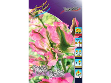 22,68���. ������� ���� ���� (��� 10 ��. ���������� ������ 5��.).jpg