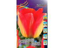 10,72���. ������� �������� ���� (��� 10 ��. ���������� ������ 5��.).jpg