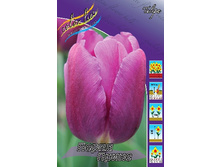 10,09���. ������� ����� ����� (��� 10 ��. ���������� ������ 5��.).jpg