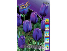 13,68���. ������� ��� ���� (��� 10 ��. ���������� ������ 5��.).jpg