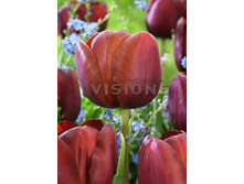 23,94���. ������� ��� ����� (��� 10 ��. ���������� ������ 5��.).jpg