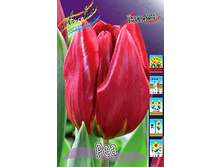 9,84���. ������� ��� (���������� ������ ������ ���������� �� 10 ��.).jpg