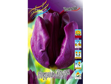 10,34���. ������� ����� ���� (��� 10 ��. ���������� ������ 5��.).jpg