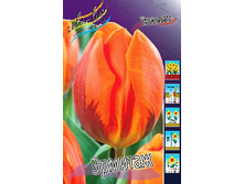 10,72���. ������� ������� (��� 10 ��. ���������� ������ 5��.).jpg