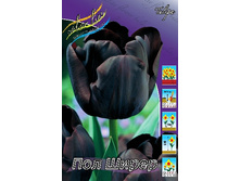 10,97���. ������� ��� ����� (��� 10 ��. ���������� ������ 5��.).jpg