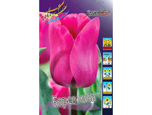 12,1���. ������� ��������� (��� 10 ��. ���������� ������ 5��.).jpg