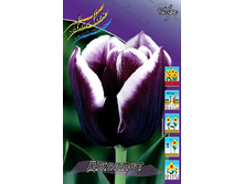 13,24���. ������� ������� (��� 10 ��. ���������� ������ 5��.).jpg