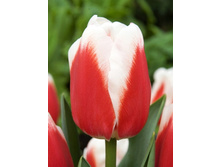 13,87���. ������� ����� ������ (��� 10 ��. ���������� ������ 5��.).jpg