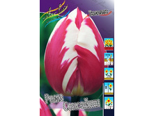 14,5���. ������� ���� �������� (��� 10 ��. ���������� ������ 5��.).jpg