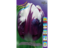 15���. ������� ����� (��� 10 ��. ���������� ������ 5��.).jpg