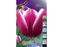 16,38���. ������� ������ ��� (��� 10 ��. ���������� ������ 5��.).jpg