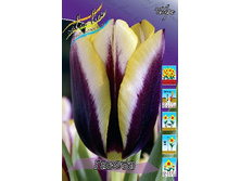 8,58���. ������� ������ (���������� ������ ������ ���������� �� 10 ��.).jpg