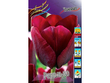 9,08���. ������� �������� (���������� ������ ������ ���������� �� 10 ��.).jpg