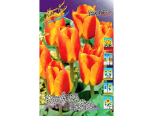 10,09���. ������� ������� ������ (��� 10 ��. ���������� ������ 5��.).jpg