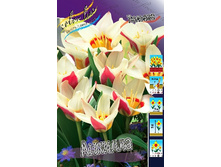 10,09���. ������� ������� (��� 10 ��. ���������� ������ 5��.).jpg