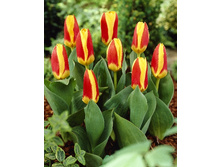 10,72���. ������� ������ (��� 10 ��. ���������� ������ 5��.).jpg