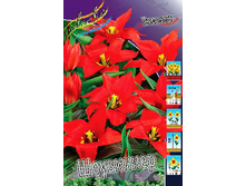 11,22���. ������� ��������� (��� 10 ��. ���������� ������ 5��.).jpg