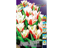 10,72���. ������� ���� ���� (��� 10 ��. ���������� ������ 5��.).jpg