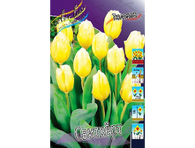 12,61���. ������� ����ȣ�� (��� 10 ��. ���������� ������ 5��.).jpg