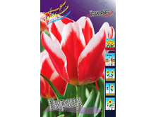 15,13���. ������� ������ (��� 10 ��. ���������� ������ 5��.).jpg