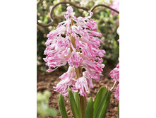 47,47���. ������� 14-15  ������� (�������� ���� �� 3 ��., ����������� ����� 1��.).jpg