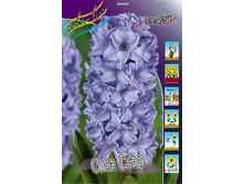 17,38���. ������� 14-15  ��� ���� (���������� �� ����� �������� �� 5��.).jpg