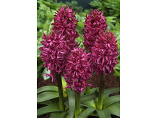 17,66���. ������� 14-15  ������ ���� (���������� �� ����� �������� �� 5��.).jpg