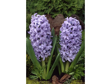 18,72���. ������� 14-15  ��� ������ (���������� �� ����� �������� �� 5��.).jpg