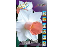 30,8���. ������� ���� ���� (�������� ���� �� 7 ��., ����������� ����� 1��.).jpg