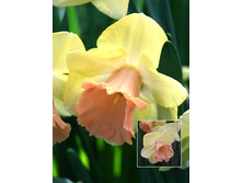 35,24���. ������� ������� (�������� ���� �� 5 ��., ����������� ����� 1��.).jpg