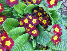 ���� 2009�. ����. 001.jpg