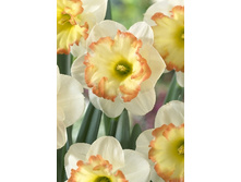 63,76���. ������� ���� (�������� ���� �� 5 ��., ����������� ����� 1��.).jpg