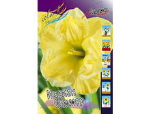 19,68���. ������� ������ ������ (��� 10 ��. ���������� ������ 5��.).jpg