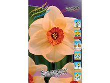 20,34���. ������� ��������� (��� 10 ��. ���������� ������ 5��.).jpg