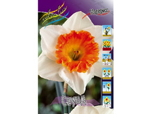 20,34���. ������� ����� (��� 10 ��. ���������� ������ 5��.).jpg